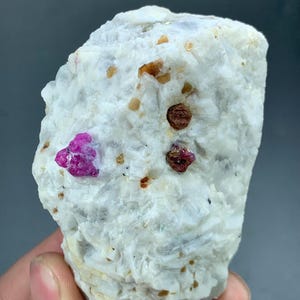May include: A rough, white mineral specimen with embedded ruby crystals. The ruby crystals are a vibrant pinkish-red color, contrasting with the white matrix. Small, golden-brown inclusions are also visible throughout the stone.