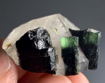 93ct Green Cap Tourmaline Crystal with Quartz - Skardu Pakistan
