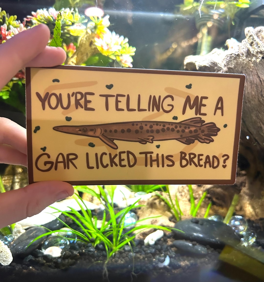Funny Gar Bumper Sticker/magnet - Etsy