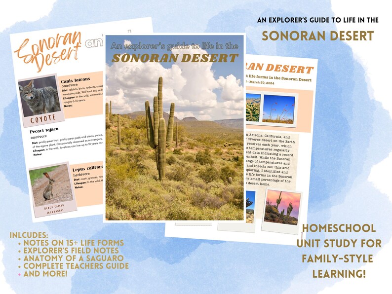 An Explorer's Guide to Life in the Sonoran Desert: Unit Study for ...