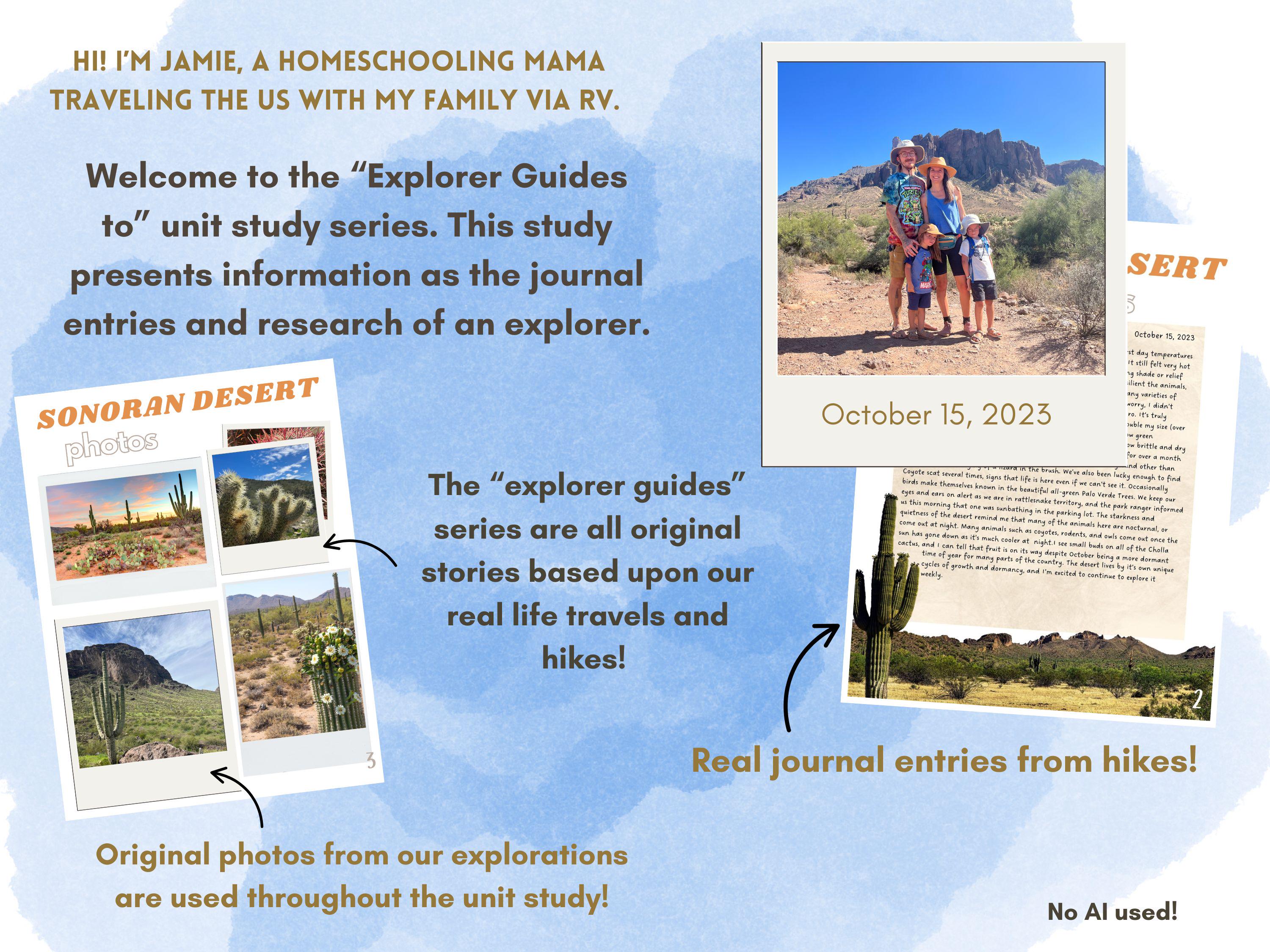 An Explorer's Guide to Life in the Sonoran Desert: Unit Study for ...