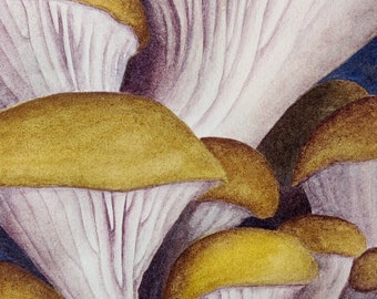 Oyster mushroom watercolour 4