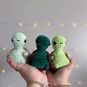 Cheeky Turtle Crochet Plush Handmade Amigurumi Stuffed Animal