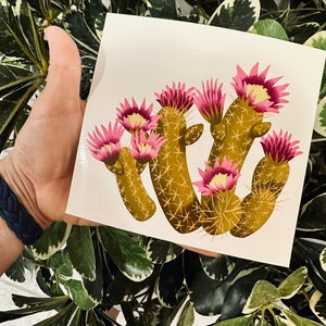 Pincushion Cactus Kiss-Cut Stickers - Colección Sonoran Desert - 3 tamaños