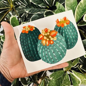 Fishhook Barrel Cactus Kiss-Cut Stickers - Sonoran Desert Collection- 3 tamaños