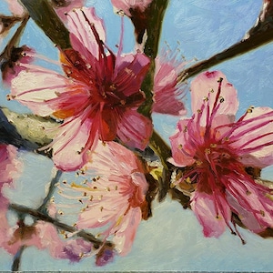 Peach Blossom Original Art Oil Painting