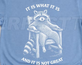 It is what it is Sarcastic Funny Gifts, Funny Tired Life is Hard Sweatshirt, Humorous Relatable Humor Hoodie, Funny Cute Raccoon Lover Shirt