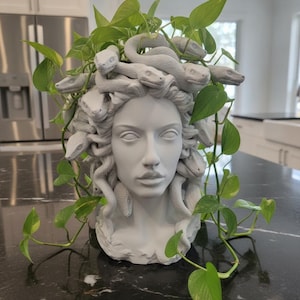May include: A matte light grey sculptural planter shaped like a human head with multiple snakes forming the hair. A vibrant green pothos plant with heart-shaped leaves grows out from the top, with vines trailing down around the face and neck.