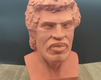 3D-geprinte sculptuur Lionel Richie – cadeau voor vader, cadeau muziekliefhebber, kantoorinrichting