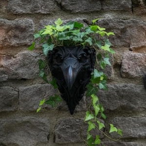Könnte beinhalten: Ein schwarzer Wandpflanzkübel in Form eines Rabenkopfes, gefüllt mit grünem Efeu, flankiert von zwei schwarzen Metallkerzenhaltern, die jeweils eine brennende weiße Stumpenkerze tragen. Das Set ist an einer strukturierten grauen Steinwand befestigt.