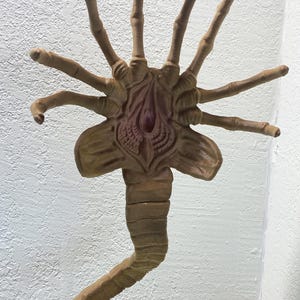 Lifesize Facehugger Figure - Xenomorph Alien Face Hugger Display - Aliens Horror Display - Giger Horror Art - Home Office Decor - Meme