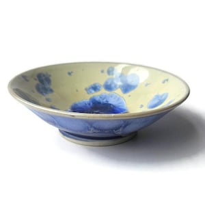 May include: A ceramic bowl with a pale yellow interior and a blue exterior. The interior has blue floral patterns. The bowl has a round shape with a slightly raised base. The rim is a light silver colour.
