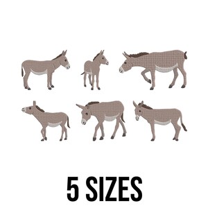 Op de afbeelding: Illustratie van vijf ezels in verschillende poses en maten, in bruin- en grijstinten. De ezels zijn afgebeeld met gedetailleerde texturen, tegen een witte achtergrond. De tekst "5 SIZES" staat in vette, zwarte letters eronder.