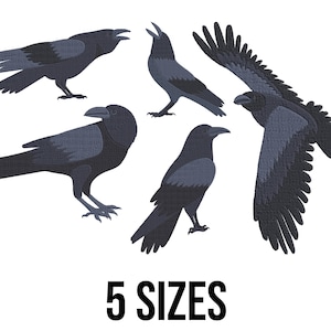 May include: An illustration of five black crows in different poses on a white background. One crow is in flight with wings spread. The text "5 SIZES" is at the bottom in bold, black font.