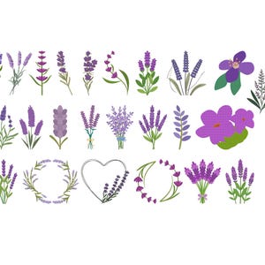Puede incluir: Ilustraciones de lavanda en varios arreglos. La imagen presenta ramitas individuales, ramos, coronas y diseños en forma de corazón, todos en tonos de morado y verde, sobre un fondo blanco.