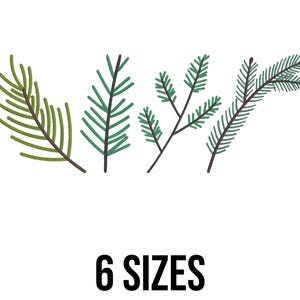 Könnte beinhalten: Illustration von mehreren grünen und dunkelgrünen Zweigen von Kiefernnadeln auf weißem Hintergrund. Der Text "6 GRÖSSEN" wird in fetter, schwarzer Schrift unter den Zweigen angezeigt.