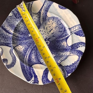 Puede incluir: Un plato de cer&aacute;mica blanco y azul con un dise&ntilde;o de pulpo. El plato mide aproximadamente 20 cm de di&aacute;metro. La ilustraci&oacute;n del pulpo est&aacute; en un estilo vintage detallado, con tent&aacute;culos en la superficie.