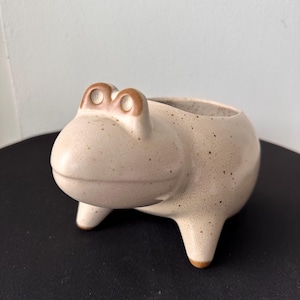 May include: A ceramic frog-shaped planter in a speckled beige color. The planter has a wide, open top for plants, with brown accents on the eyes and feet. The frog has three short legs and a rounded body.