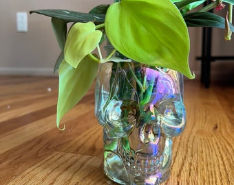 Houseplant Propagation Bouquet with Skull Chic Vase