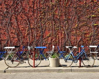 Cafe Bike Photography, Detroit, Michigan