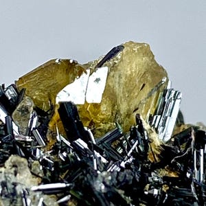May include: A close-up of a mineral specimen. It features a large, translucent, golden-yellow crystal formation. The crystal is surrounded by clusters of black, needle-like crystals and a light-coloured matrix. The background is a soft, neutral grey.