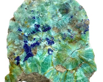 May include: A striking mineral specimen with a radial pattern of green and blue crystals. The stone has a rough, textured surface with areas of deep blue and lighter green hues. The overall shape is irregular, with a natural, earthy appearance.