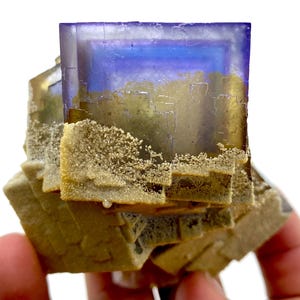 May include: A close-up of a fluorite mineral specimen. The crystal features a large, square, purple and blue top with a golden-brown base. The base has a layered appearance with small, white crystal formations.