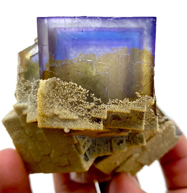 May include: A close-up of a fluorite mineral specimen. The crystal features a large, square, purple and blue top with a golden-brown base. The base has a layered appearance with small, white crystal formations.