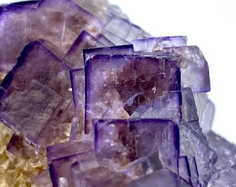 May include: Close-up of a fluorite crystal cluster. The crystal features a mix of purple and clear cubic formations. The base of the cluster has a light tan color. The image is well-lit, highlighting the crystal's facets and textures.