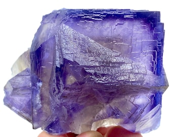 Pezzo unico da collezione di 243 grammi! Esemplare naturale di fluorite cubica fantasma a linea blu @PAKISTAN Collezionisti di minerali/Fluorite a zona blu