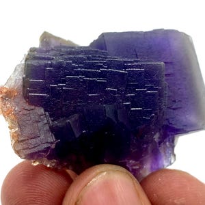 May include: A close-up of a fluorite crystal cluster. The crystal is a deep purple color with a layered, geometric structure. The edges of the crystal have a lighter, translucent appearance, and the base has a reddish-brown hue.