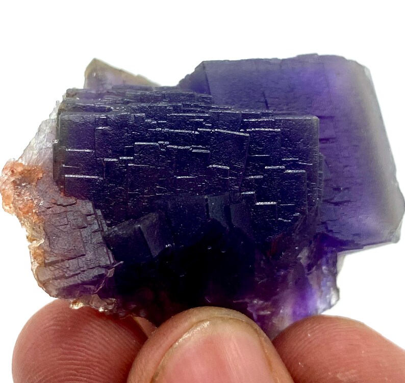 May include: A close-up of a fluorite crystal cluster. The crystal is a deep purple color with a layered, geometric structure. The edges of the crystal have a lighter, translucent appearance, and the base has a reddish-brown hue.