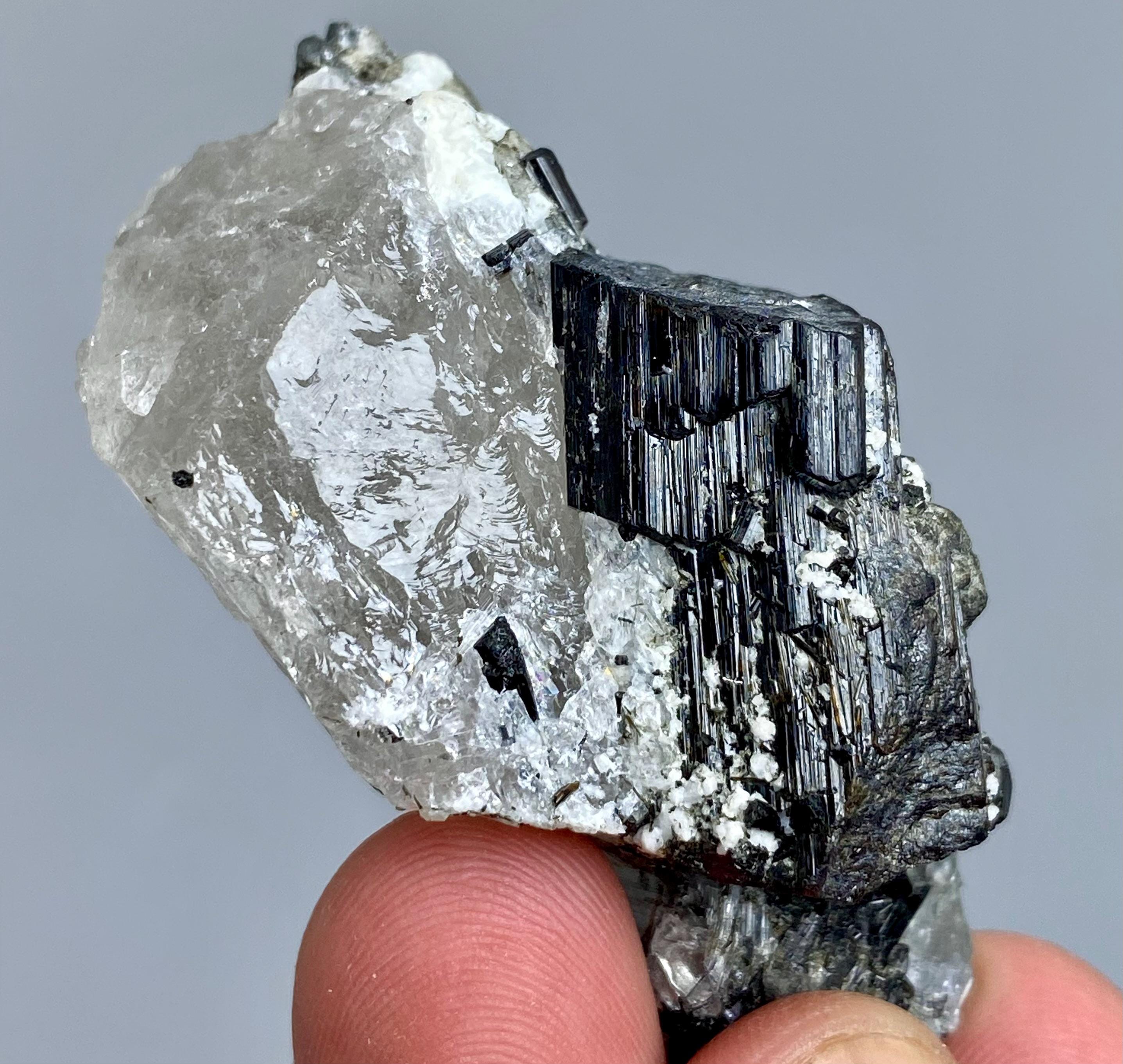 パキスタン鉱物コレクション、クォーツ標本上の黒トルマリン結晶