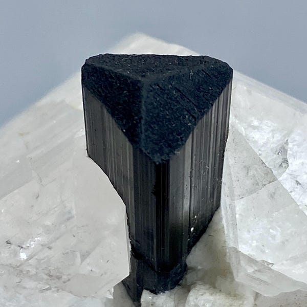 516 Gram Unique Collection Piece! Terminated Scoorl Black TOURMALINE Crystal On QUARTZ Specimen @PAKISTAN Mineral Collector/Mineral Specimen