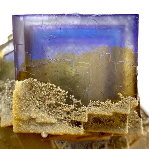 May include: Close-up of a fluorite crystal formation. The crystal features a gradient of colors, including purple, blue, and gold. The lower portion of the crystal has a textured, crystalline appearance. The background is white.