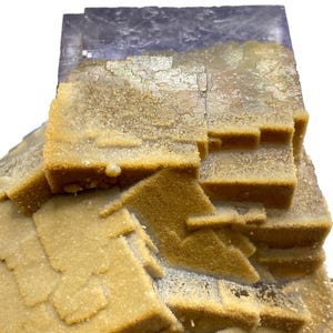 May include: Close-up of a mineral specimen featuring a layered structure. The mineral has a light tan color with a crystalline appearance. A section of the mineral is a translucent purple color. The specimen is set against a white background.