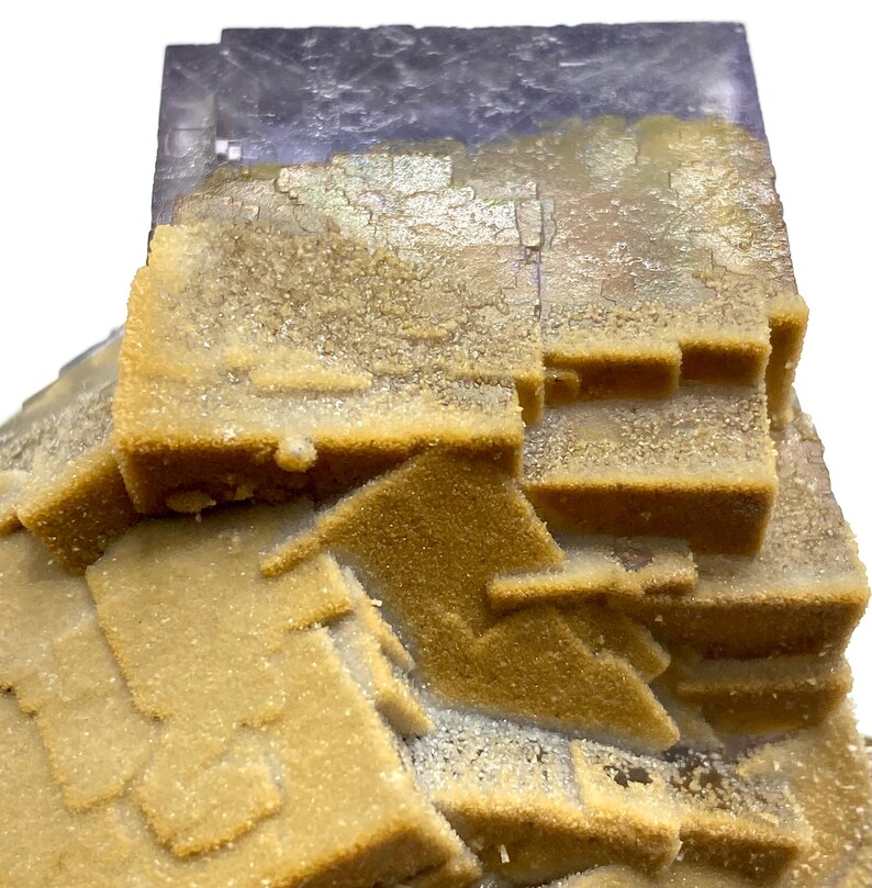 May include: Close-up of a mineral specimen featuring a layered structure. The mineral has a light tan color with a crystalline appearance. A section of the mineral is a translucent purple color. The specimen is set against a white background.