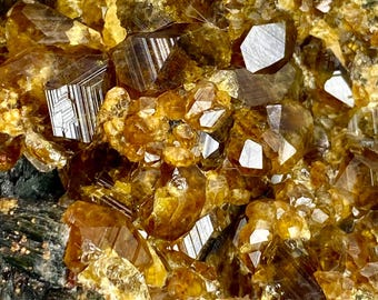 Esemplare unico ed estremamente raro da 177 grammi! Cristalli naturali di granato topazolite su hedenbergite. Esemplare da collezione/esposizione.