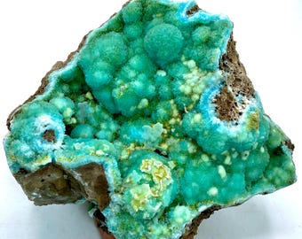 May include: A vibrant, natural mineral specimen featuring a striking combination of colors and textures. The piece showcases a rich, teal-green hue with rounded formations, contrasted by a dark brown matrix. The surface has a bubbly, crystalline appearance.