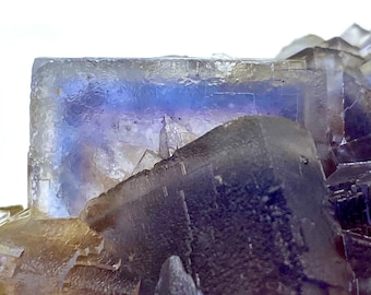 Esemplare unico di fluorite cubica vetrosa blu naturale a linea fantasma da 284 carati @PAKISTAN Collezionista di minerali/Fluorite a zona blu