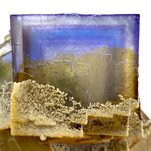 May include: A close-up of a fluorite crystal formation. The top of the crystal is a deep purple color that fades into a light blue. The bottom portion is a golden color with a textured surface and small crystal formations.