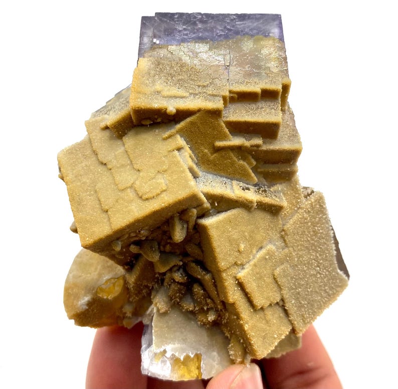 May include: A natural fluorite mineral specimen with a mix of colors. The top portion is a deep purple, transitioning to a golden-brown hue in the center, and a white base. The crystalline structure is visible.
