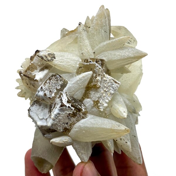 583 Gramm schweres Einzelstück! Natürlicher Hundezahn CALCIT Cluster mit FLUORIT Specimen @ PAKISTAN Mineral Sammler / Display Specimen / Home Decor