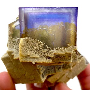 May include: A close-up of a fluorite mineral specimen. The crystal structure displays a gradient of colors, including purple, blue, and gold. The base of the mineral has a rough, textured appearance with small, crystalline formations.