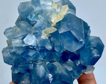 May include: A cluster of blue celestite crystals with a few off-white crystals. The crystals have a geometric shape and are clustered together. The celestite has a translucent quality and a vibrant blue color.