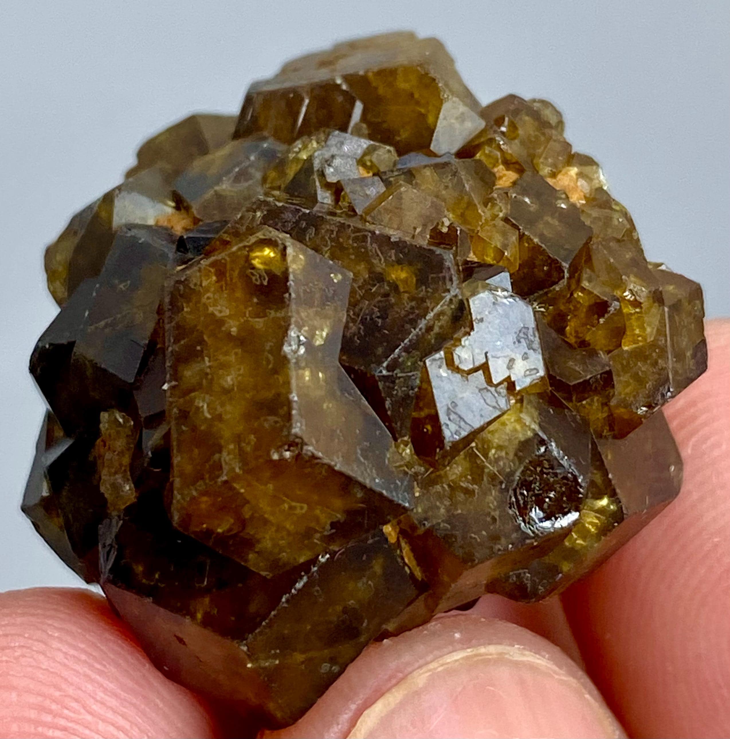 Grenat andradite brut naturel avec amas de cristaux de diopside et de