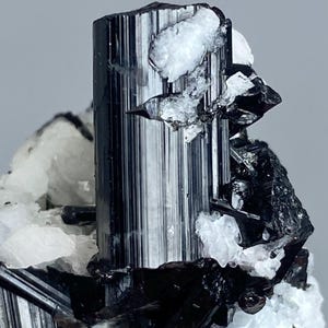 May include: Close-up of a black tourmaline crystal with vertical striations, accented by white quartz clusters. The mineral specimen has a glossy, reflective surface, showcasing natural geological formations. The composition is set against a neutral background.