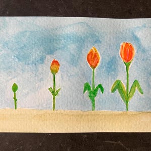 Pacote de cartões de primavera/Páscoa