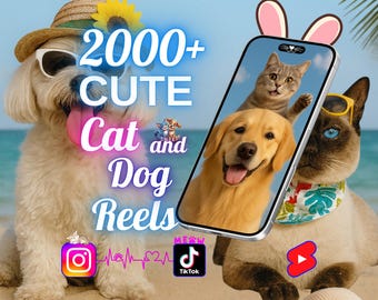 Oltre 2000 video carini e divertenti di cani e gatti: clip divertenti e commoventi per Instagram, TikTok, YouTube Shorts / Clip virali da scaricare digitalmente