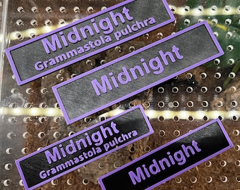 Custom 3D Printed Magnetic Pet Name Tag: Tarantula, Jumping Spider, Reptile, Invertebrate Enclosure Decor